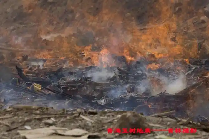 引用 玉树地震首批近千名遇难者集体火葬