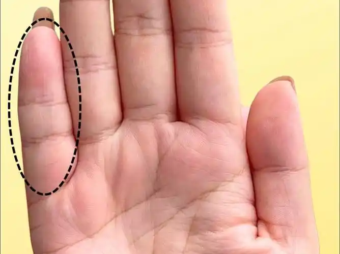 子女缘浅的掌纹