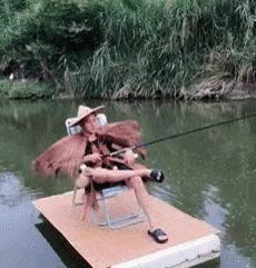 吉祥鸟的美篇:一切看淡,一切随缘