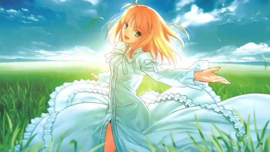 [picture] saber ! | tianxiangs home