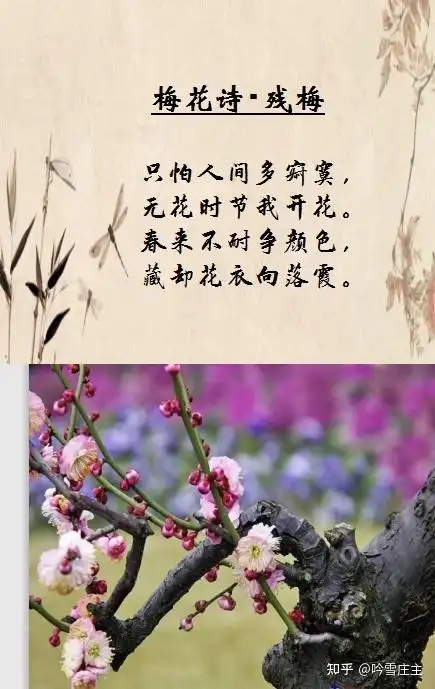 暗香疏影篇梅花诗