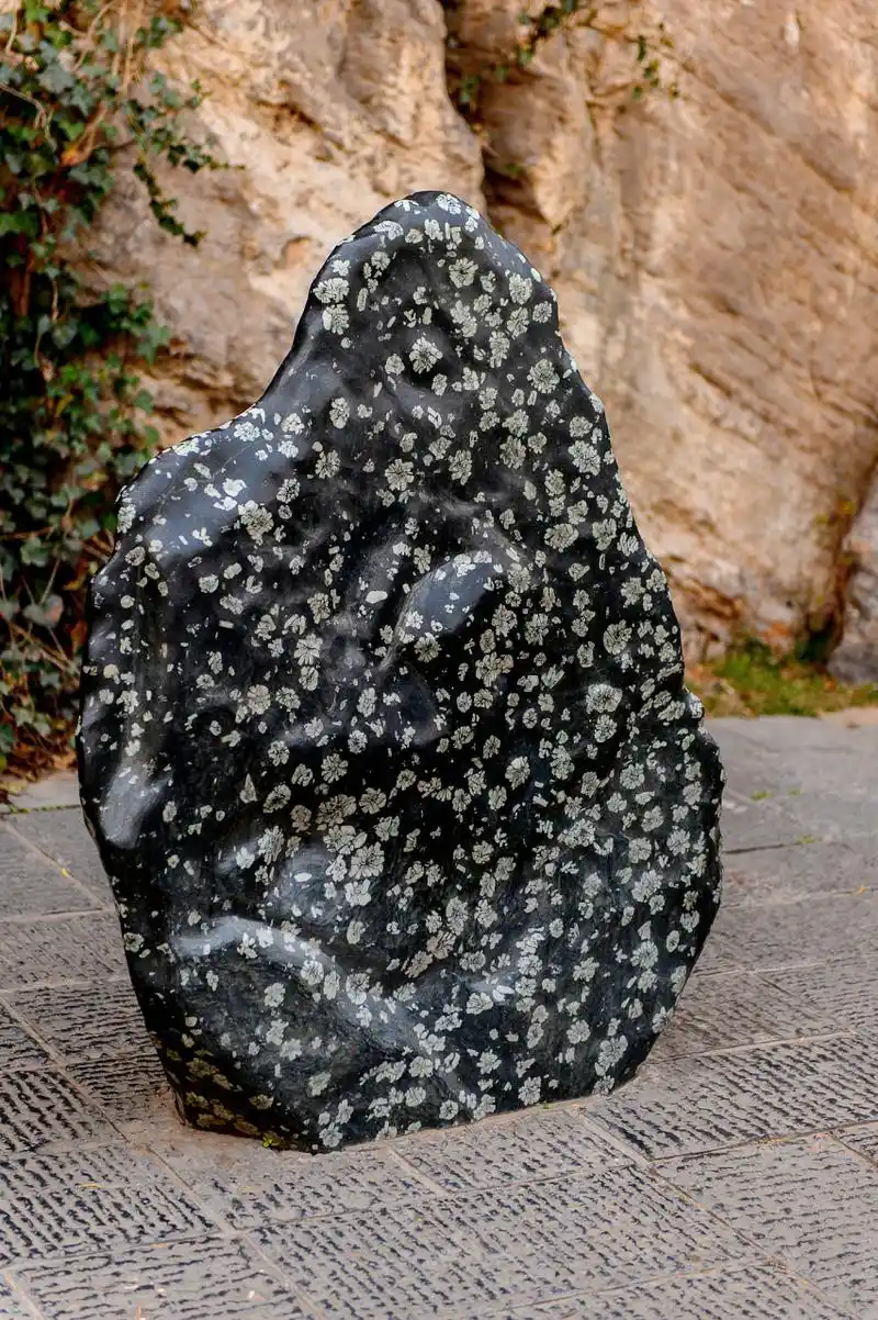 孩子在海边捡到这几块石头,很新奇很有特色,他幻想着这几块石头可以做