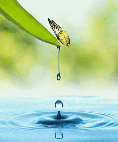 512_614gif 动态图 动图