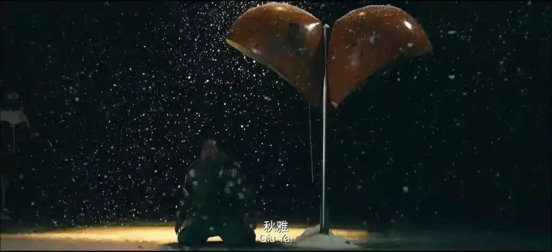 "雪花飘飘,北风萧萧,天地一片苍茫.