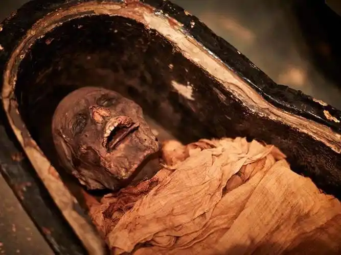 3000年前木乃伊开口说话:国际科学家团队重新修复一位古埃及神父的