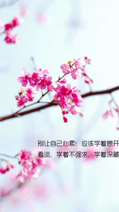 看淡.学着不强求.学着深藏.