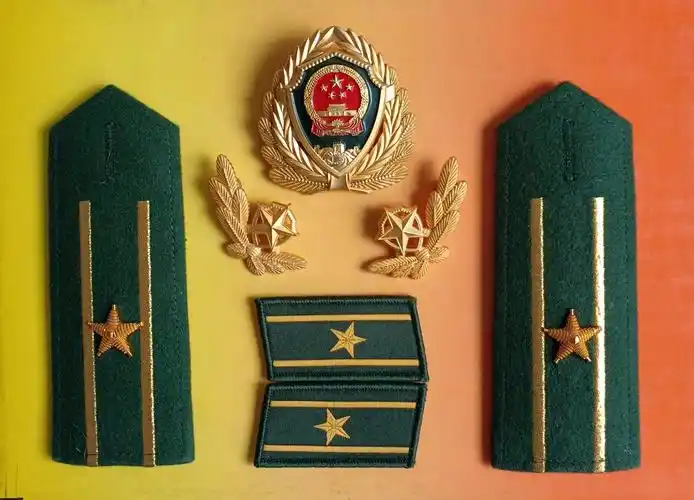 图:07式武警少校警衔肩章,领章图:07式武警中校警衔肩章,领章图:07式