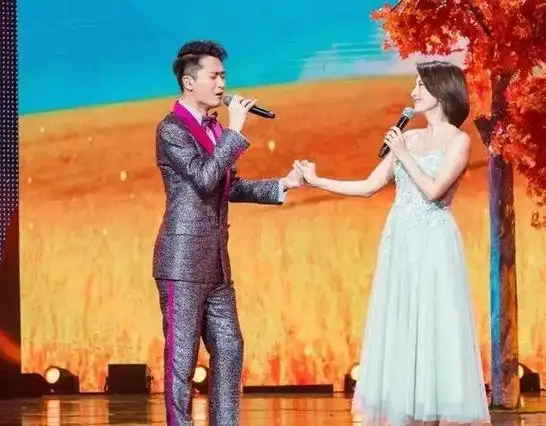 事实证明41岁的央视名嘴杨帆已走上主持人的另一条大道