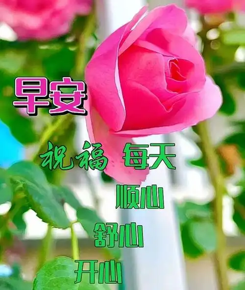 9月13日早安漂亮图片问候祝福语|快乐|清晨|晨光|幸福|好心情_网易