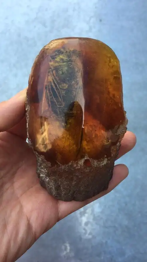 昆虫标本人工琥珀蜜蜡原石真昆虫标本摆件螃蟹知了蝎子蝴蝶学生创意