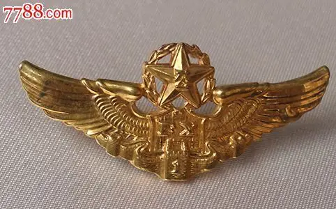 一级飞行员证章(5公分濶)1985-空军章