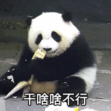 干啥啥不行吃饭第一名大熊猫吃竹子竹子大熊猫第一名吃饭不行表情