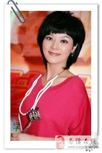 胡蝶资料图 胡蝶艺术私房照 央视主播胡蝶 胡蝶陆川曝光