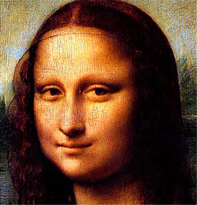 《蒙娜丽莎》放大3.14倍,外科医生发现端倪:她有病