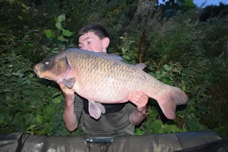 英国男孩钓到巨型鲤鱼 为近两个世纪最大