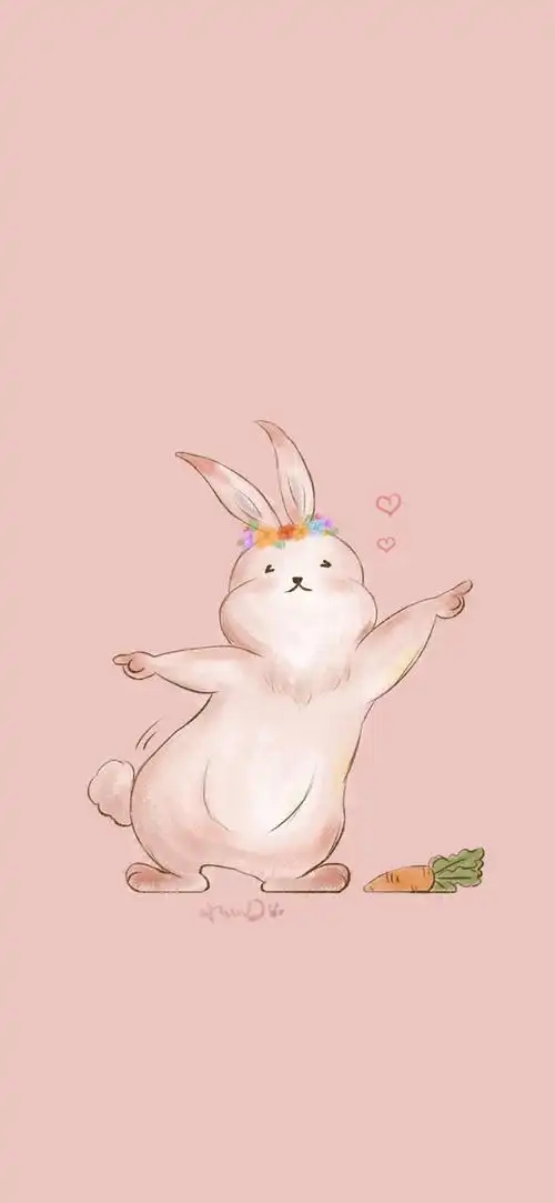 手机壁纸兔子