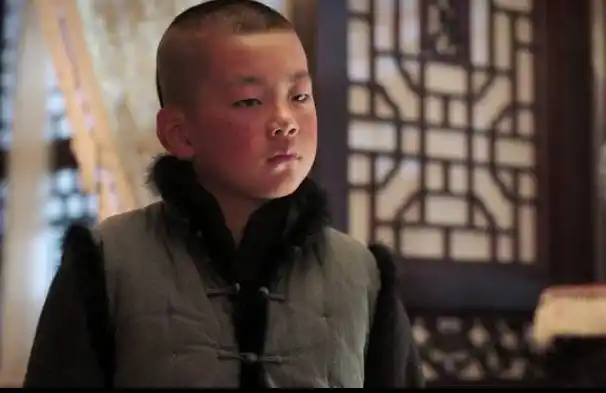 如何评价电视剧少帅