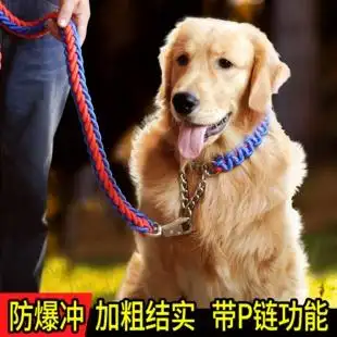 项圈 狗链子加长加粗包邮金毛 宠物牵引带项圈中大型犬大狗脖套牵引绳