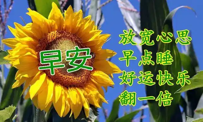 上午好冬日最新特漂亮的图片动态表情大全最美风景美图大全