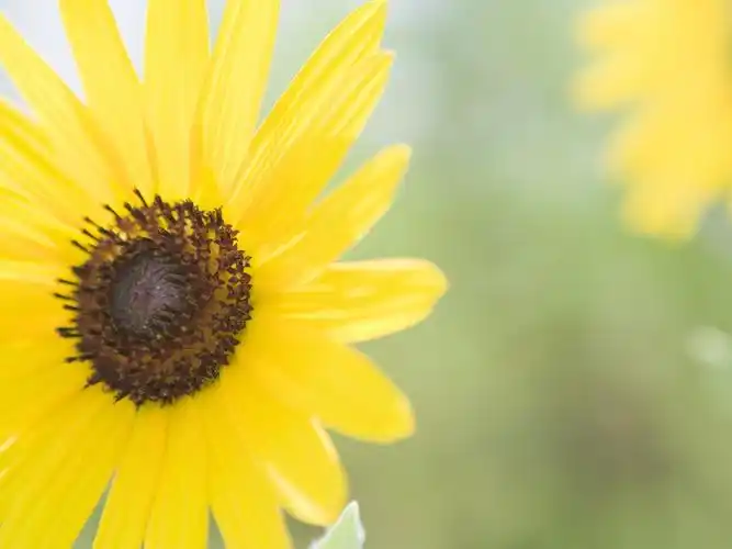 小清新 第十二辑