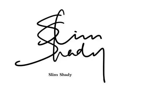 英文签名丨signature logo丨英文手写标志设计