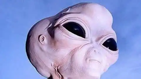 澳男孩近距离实拍惊人一幕 外星人害羞躲藏