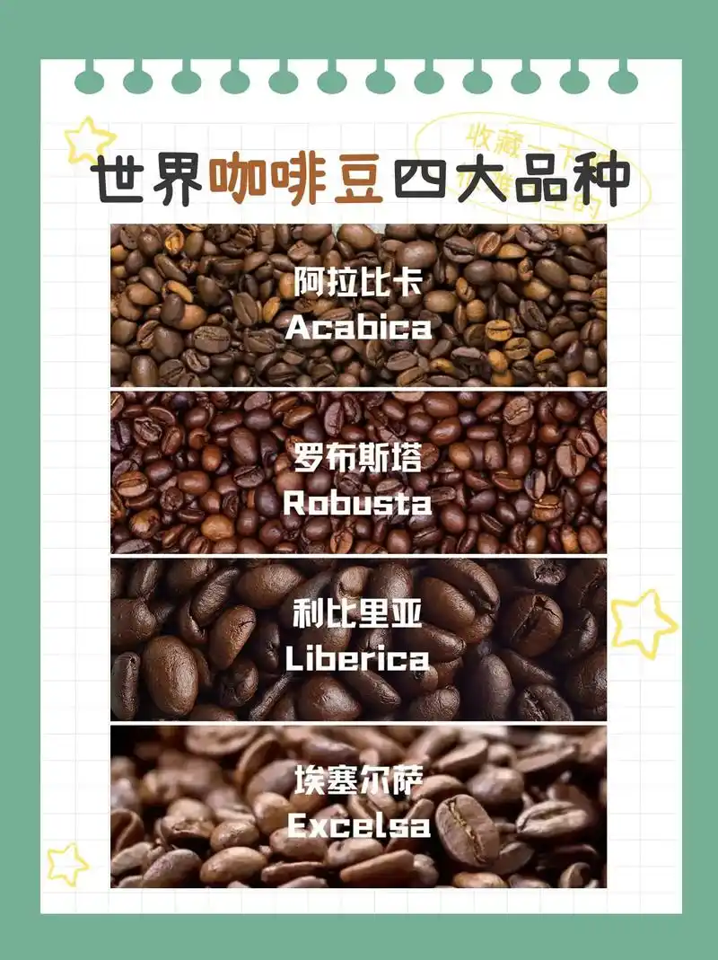 世界咖啡豆四大品种.1. 阿拉比卡 阿拉比卡豆是商业咖啡中重 - 抖音