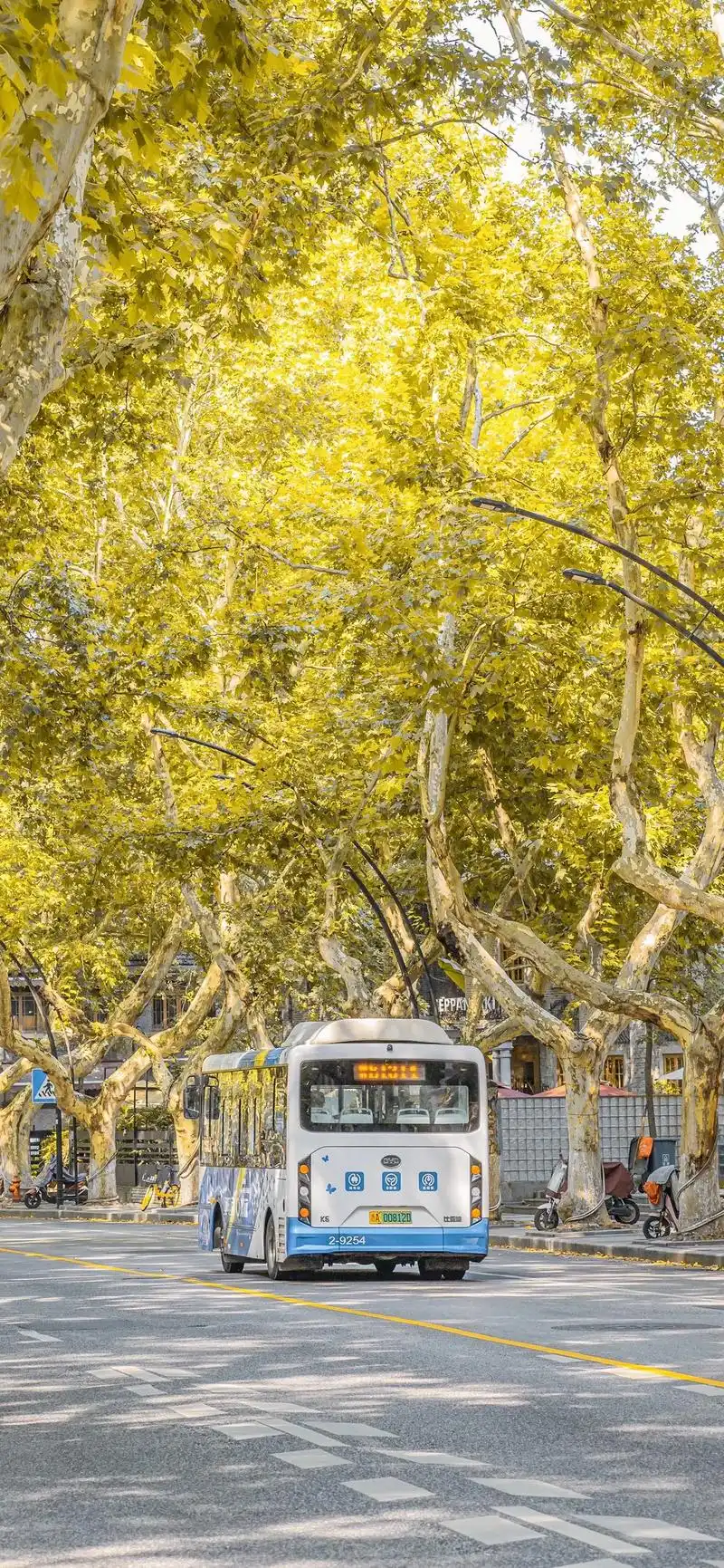 秋天的杭州南山路太好拍了.#图文伙伴计划 #摄影 #拍照 # - 抖音