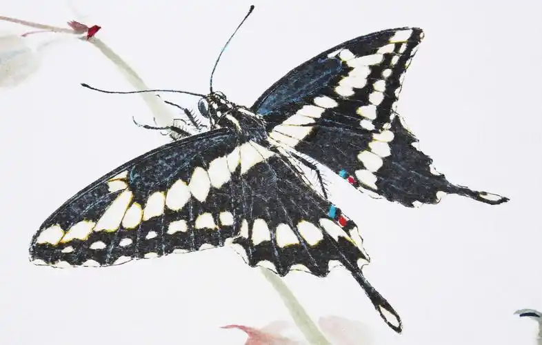 王菂《暗香》浙江画院研究员