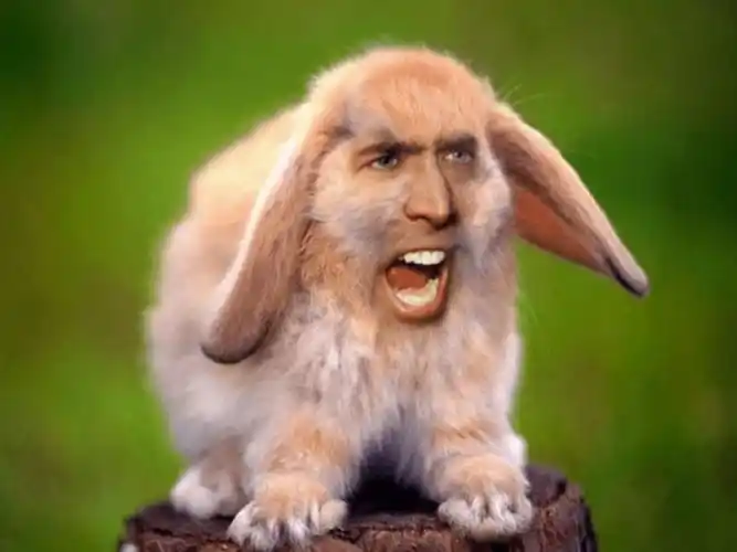 笑结果发现憋不住于是狂笑"的经典表情包9599起初还只是玩梗凯奇