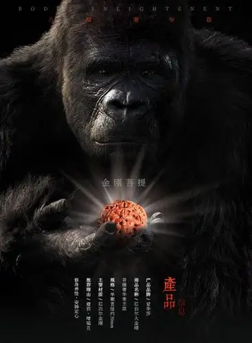 金刚象征所向披靡,无坚不摧的智慧和真如佛性,爱华莎特为你呈现尼泊尔