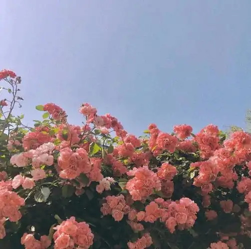 朋友圈背景图封面