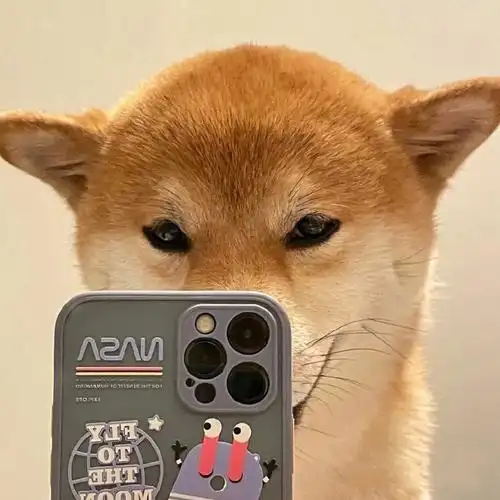 沙雕柴柴自拍05