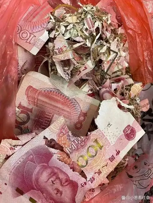 防火防盗防老鼠,老人9000元现金被老鼠当食物拖走