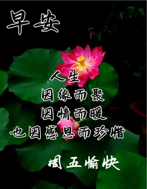 12月4日周五漂亮早上好问候动态图带字12月早安问候祝福语图片带字