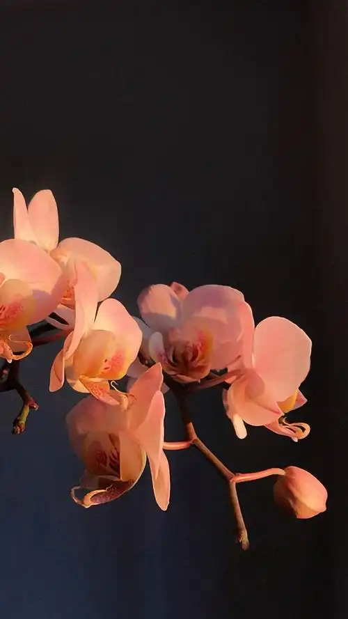 适合做手机壁纸和锁屏壁纸的图片之九适合做手机壁纸和锁屏壁纸的图片