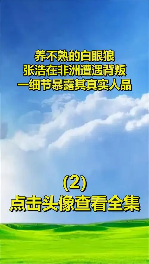 养不熟的白眼狼?张浩在非洲遭遇背叛,一细节暴露其真实人品2