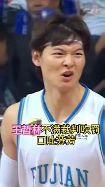 王哲林不满裁判吹罚 口吐芬芳