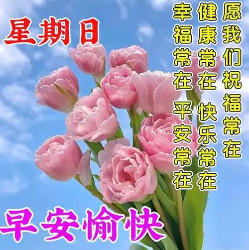 4月16日周日早安问候片带字,心态年轻第一位,健康快乐永相随