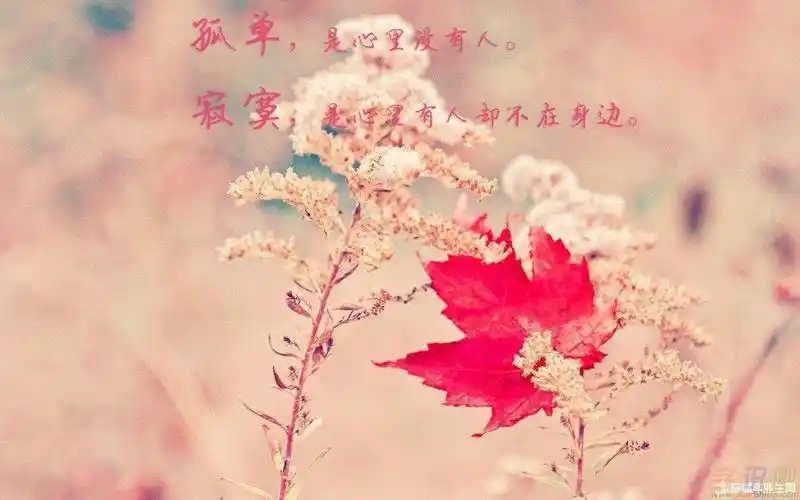 心情的四字词语