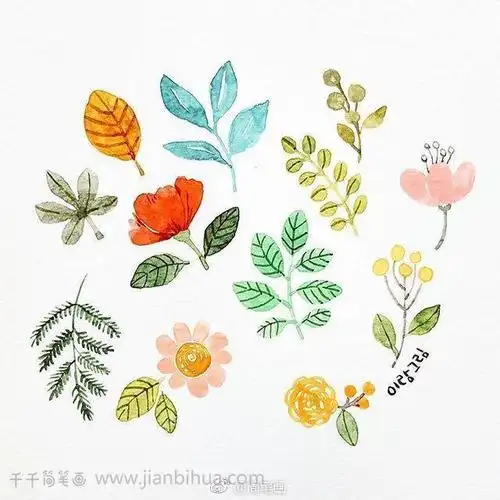 一组小清新文艺风花草手帐素材