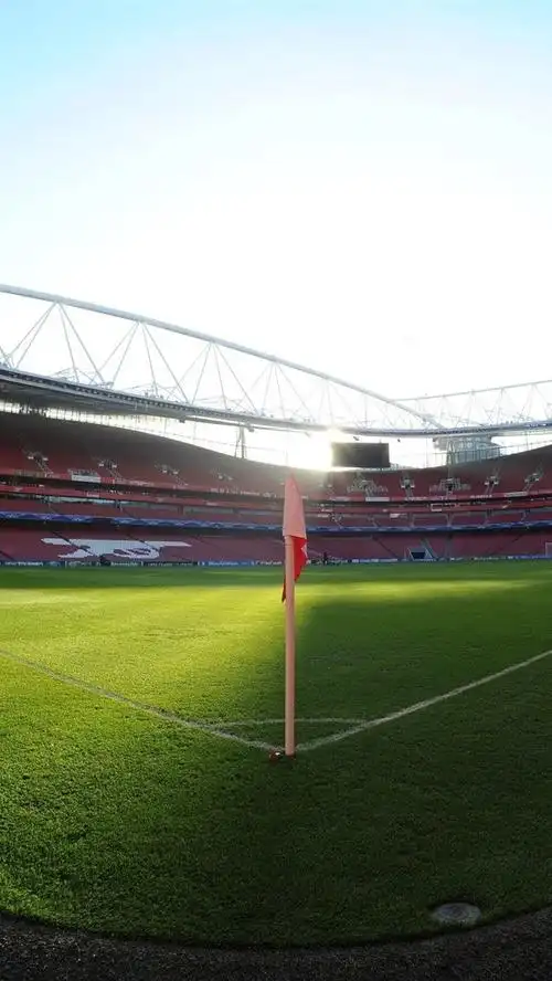 壁纸 足球场,绿色的草地 1920x1200 hd 高清壁纸, 图片, 照片