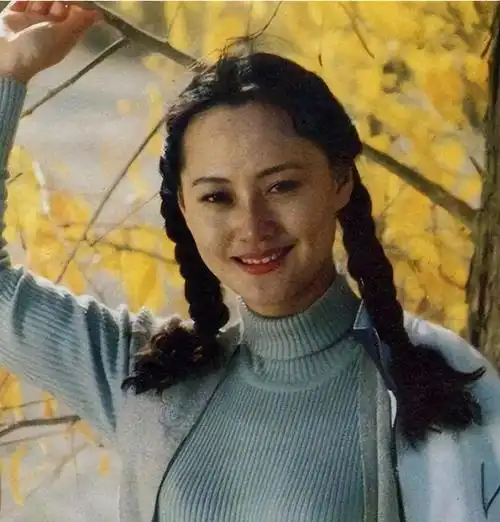 回顾大宋佳:抛弃病夫,甩掉导演,55岁再嫁豪门的她如今怎么样了