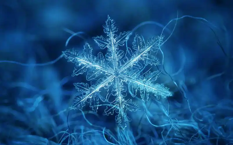 冰雪奇缘2 - 咕半凉