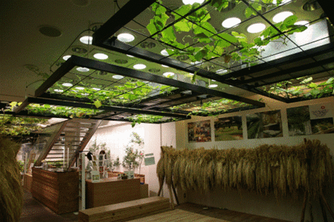 在热带雨林里办公,写字楼里植,这波操作太走心.