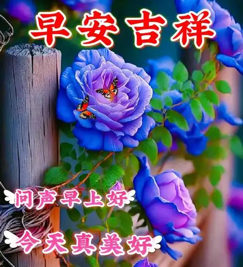 夏天早上好图片最美祝福送你