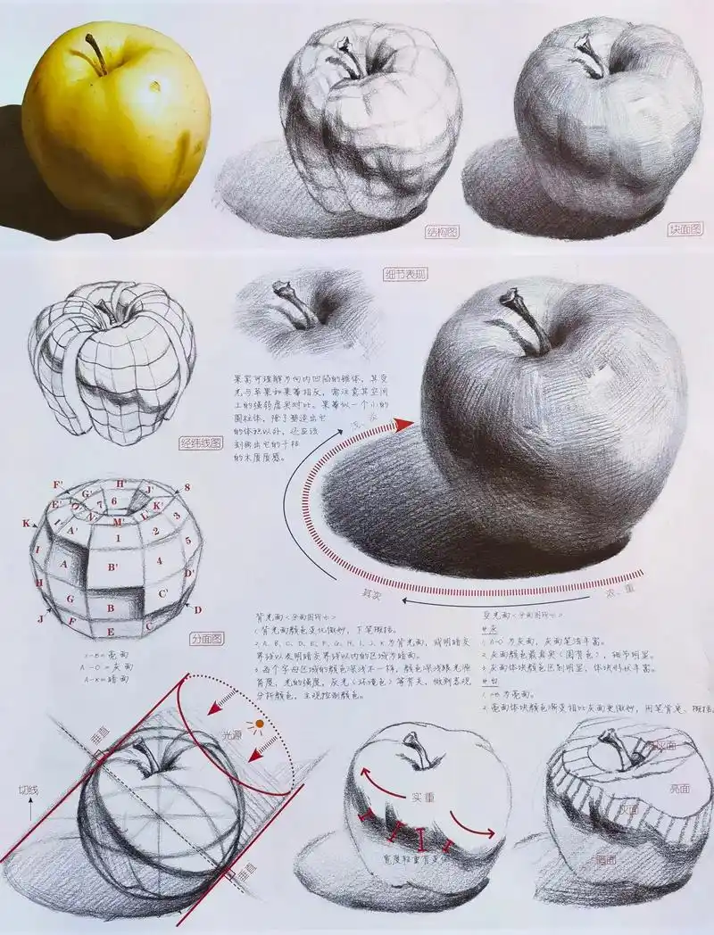 素描静物干货.#素描基础 #零基础教学 #素描苹果画法 #素 - 抖音