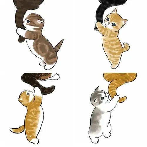 超可爱猫猫手绘图,傻傻的小猫萌翻了～_腾讯新闻