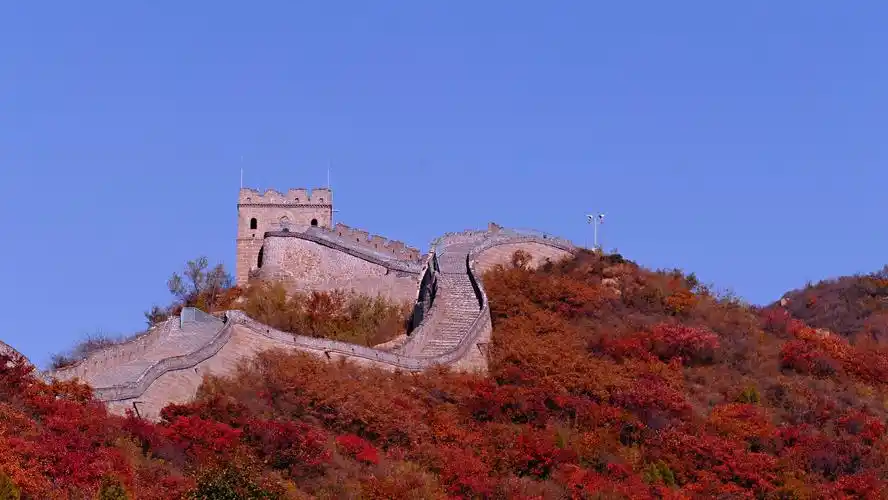 不到长城非好汉,不拍红叶留遗憾;红叶岭上显斑斓,色彩盛宴醉心田!