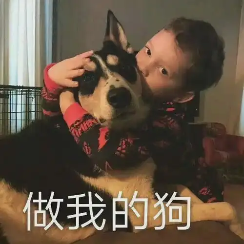 做我的狗 - 撩女生套路表情包 - 挖吧